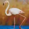 Greater Flamingo Diamond Painting