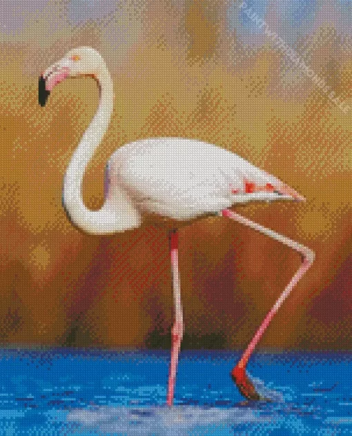 Greater Flamingo Diamond Painting