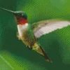 Green Hummingbird Diamond Painting