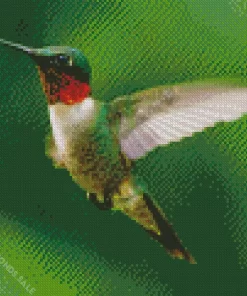 Green Hummingbird Diamond Painting