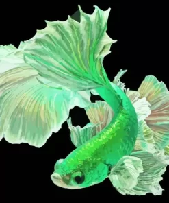 Green Betta Fish Diamond Painting