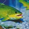 Green Fish Diamond Painting