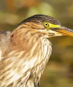 Green Heron Diamond Painting