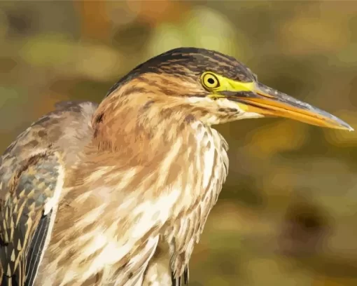 Green Heron Diamond Painting