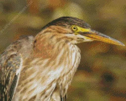 Green Heron Diamond Painting