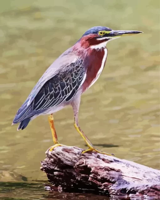 Green Heron Birds Diamond Painting