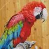 Green Winged Macaw Diamond Painting