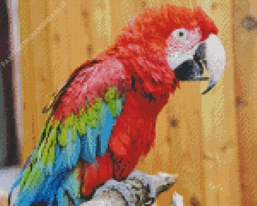 Green Winged Macaw Diamond Painting