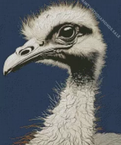 Grey Ostrich Bird Art Diamond Painting