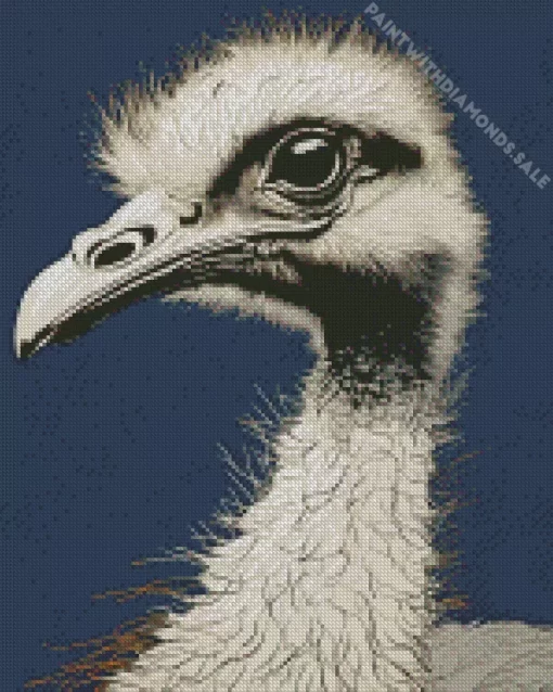 Grey Ostrich Bird Art Diamond Painting