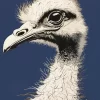 Grey Ostrich Bird Art Diamond Painting