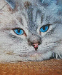 Grey Persian Cat Blue Eyes Diamond Painting