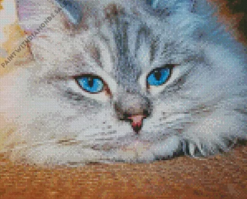 Grey Persian Cat Blue Eyes Diamond Painting