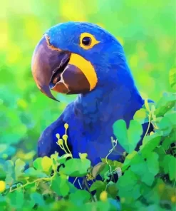 Hyacinth Macaw Diamond Painting