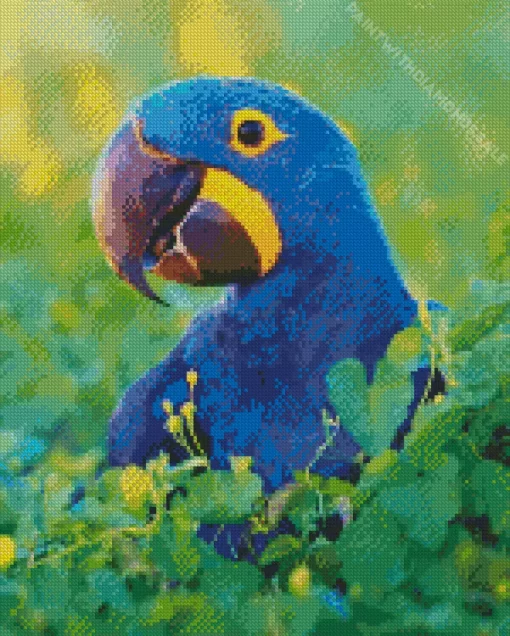 Hyacinth Macaw Diamond Painting