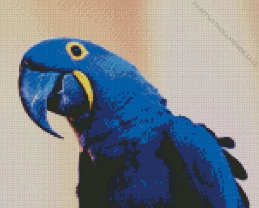 Hyacinth Macaw Bird Diamond Painting