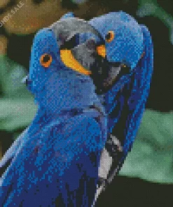 Hycanith Macaw Couple Diamond Painting