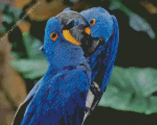 Hycanith Macaw Couple Diamond Painting