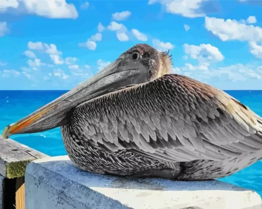 Juvenile Brown Pelican Diamond Painting