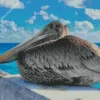 Juvenile Brown Pelican Diamond Painting