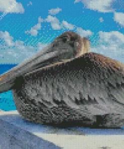 Juvenile Brown Pelican Diamond Painting