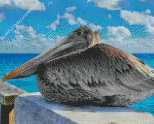 Juvenile Brown Pelican Diamond Painting