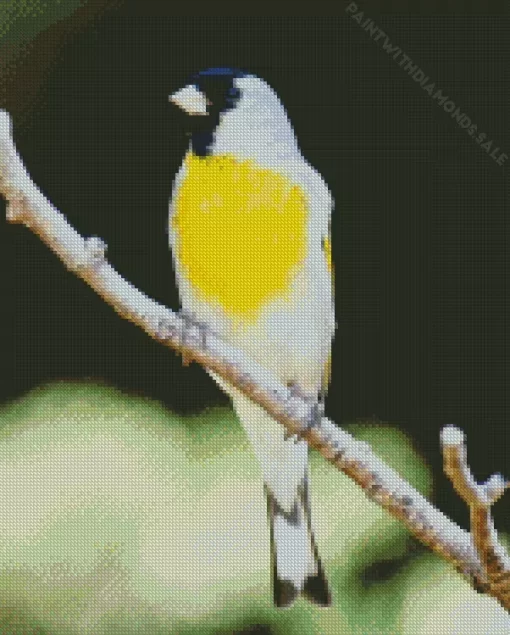 Lawrences Goldfinch Diamond Painting