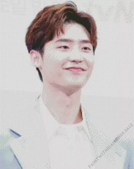 Lee Jong Suk Diamond Painting