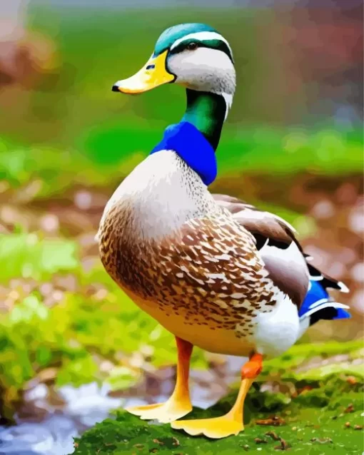 Mallard Duck Diamond Painting