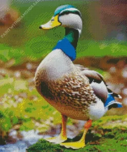 Mallard Duck Diamond Painting