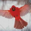 Northern Cardinal Bird Flying Diamond Painting