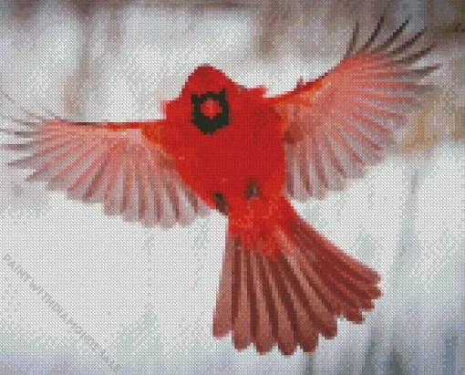 Northern Cardinal Bird Flying Diamond Painting