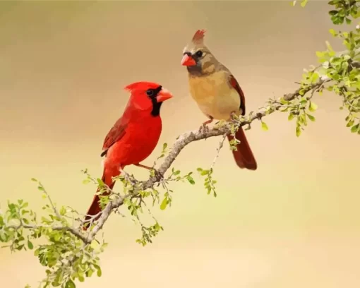 Northern Cardinal Couple Diamond Painting