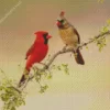 Northern Cardinal Couple Diamond Painting