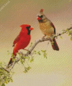 Northern Cardinal Couple Diamond Painting