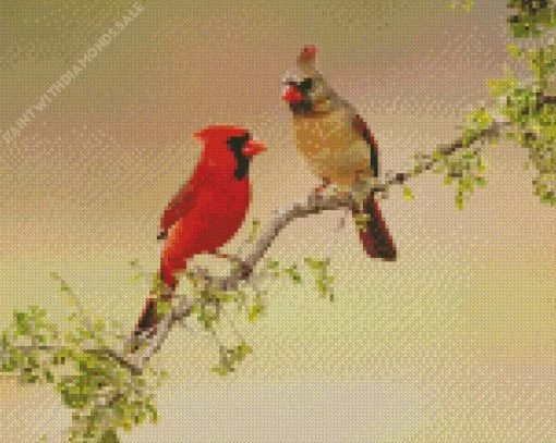 Northern Cardinal Couple Diamond Painting