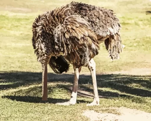 Ostrich Bury Its Head Diamond Painting