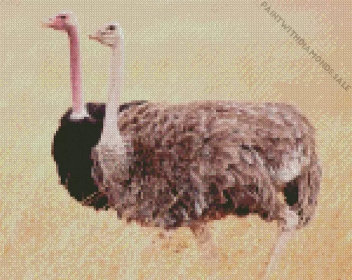 Ostrich Couple In Nature Diamond Painting