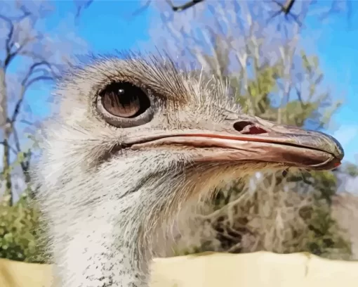 Ostrich Head Close Up Diamond Painting