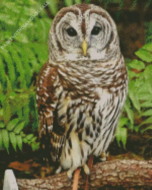 Owls Diamond Painting