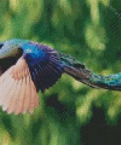 Peacock Bird Flying Diamond Painting