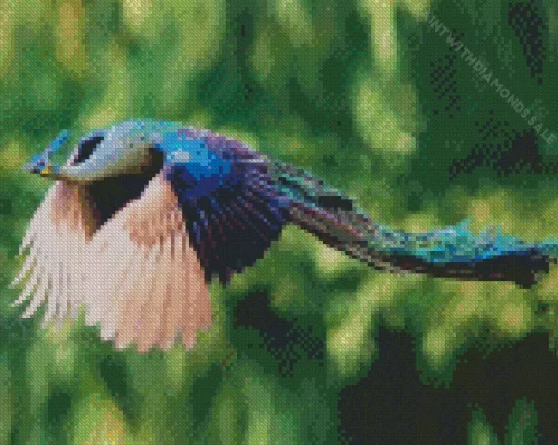 Peacock Bird Flying Diamond Painting