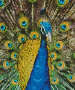 Peafowls Bird Diamond Painting