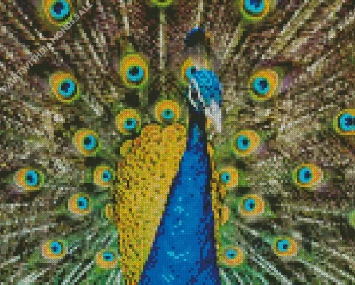 Peafowls Bird Diamond Painting