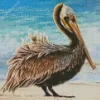 Pelican Bird Artwork Diamond Painting