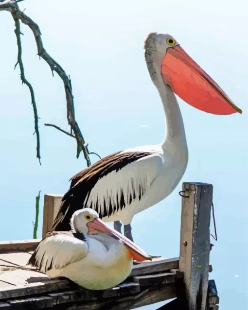 Pelican Bird Couple Diamond Painting