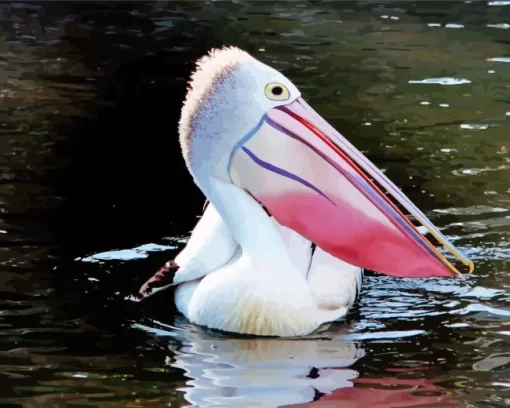 Pelican With Colorful Beak Diamond Painting