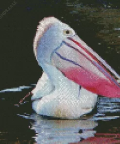 Pelican With Colorful Beak Diamond Painting