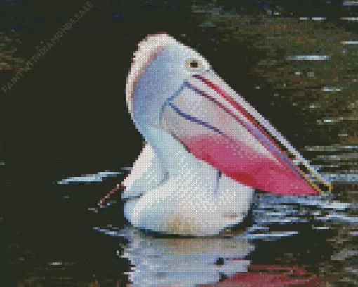 Pelican With Colorful Beak Diamond Painting