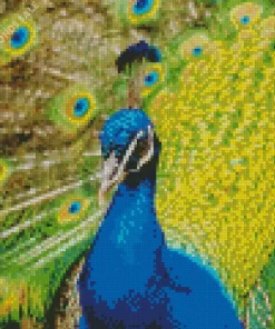 Proud Peacock Diamond Painting